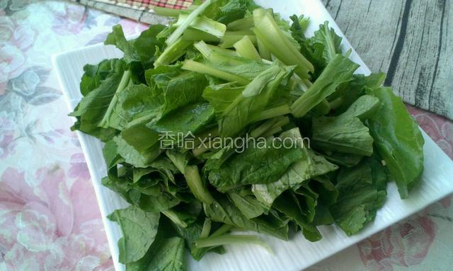 小白菜切段