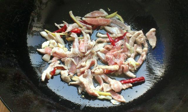 炒锅热适量油，放入葱姜辣椒炒香，放肉编炒
