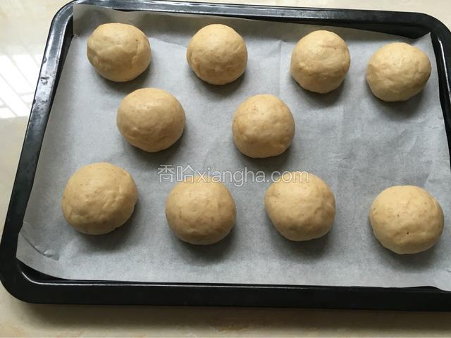 把面团分成十等份，（盖上保鲜膜）松弛20分钟。
再滚圆整形。放至到烤盘上。
