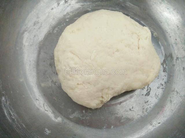 白面粉加纯净水和成饺子面团醒20分钟