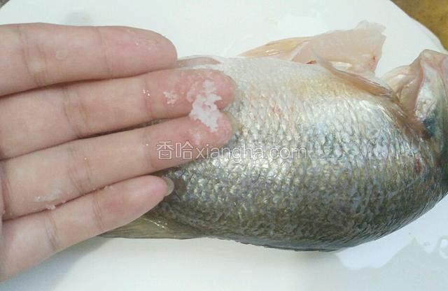 鱼洗净  里外摸一层薄 腌制10 分钟
