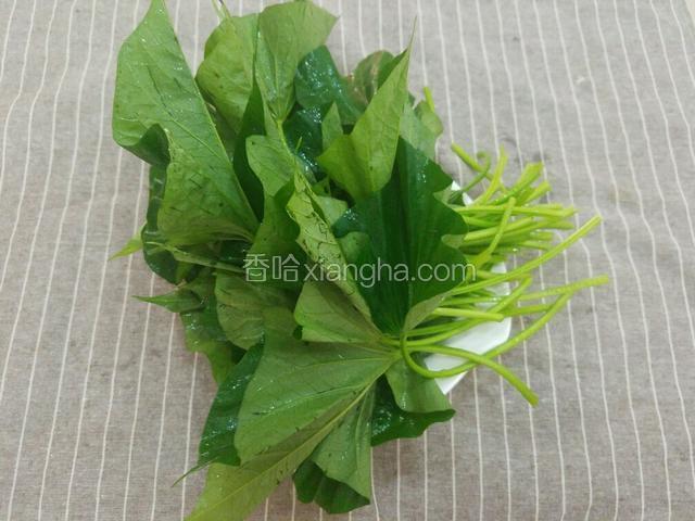 将红薯叶去掉老梗，摘洗干净。叶子可以在水里泡半小时。