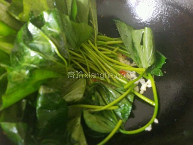 炒出香辣味后放入红薯叶，把梗的部分先下锅。