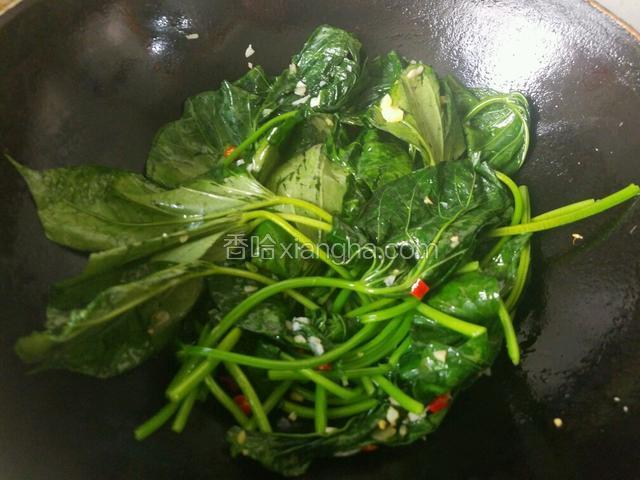 梗炒变色后把叶子也下锅，放入盐，把盐翻炒均匀，将红薯叶炒软就可以了。