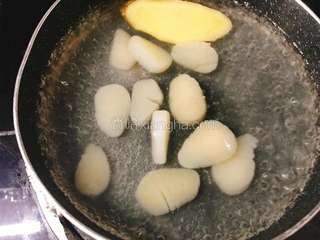 放入鲜贝和盐继续煮至鲜贝熟。沥干水分备用。