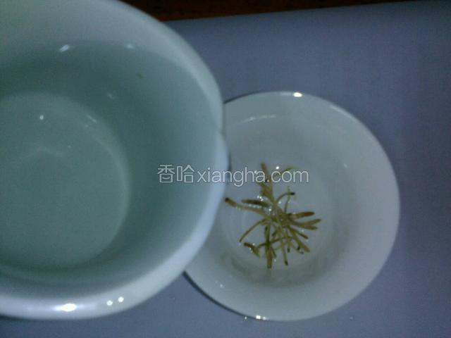 把金银花放入杯子内加入少量开水