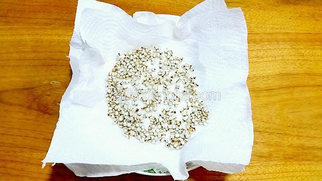 薏米清洗后用厨房纸吸干水份
