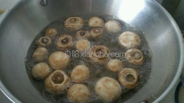 锅中加入适量水烧开下口蘑焯熟捞出沥干切片