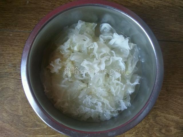 银耳放入沸水中滚烫片刻，捞起沥干，过凉水，撕成小朵备用。