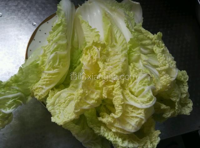 白菜洗好