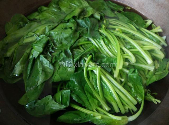 菠菜择洗干净，过沸水焯烫一下马上捞出过凉