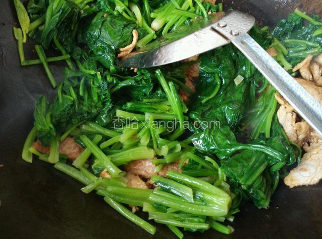 菠菜放入迅速翻炒，放盐调味即可