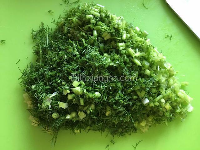 茴香洗净切碎。