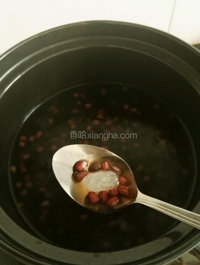 待红豆稍有一点煮开花，加入冰糖继续煮