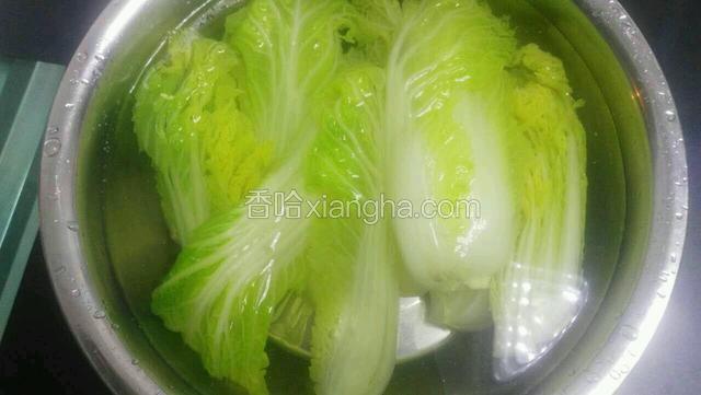 过凉水，挤干水分装盘备用。