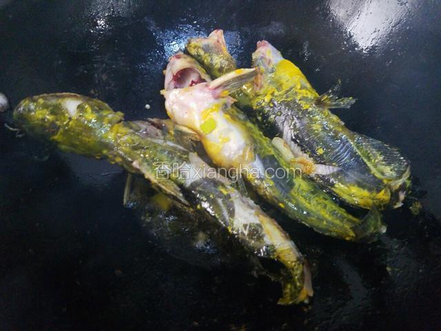 将嘎鱼两面在油锅里煎一下。
