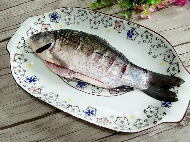 将鱼杀死去鳃去鳞，内脏不要洗，接下来把鱼冲洗干净在鱼背上打花刀用盐，姜腌制2小时。