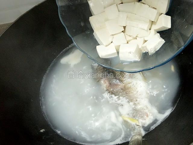 汤汁略显奶白色下入豆腐，盐，小火慢慢炖至汤色越白越好。（提前把豆腐切成小块）