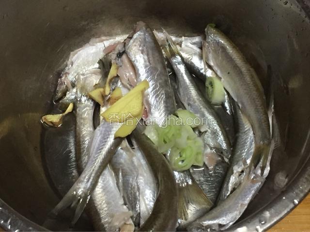 沙丁鱼放入盐，姜片，大葱末，料酒，花椒粉，胡椒粉，鸡精腌制半小时以上