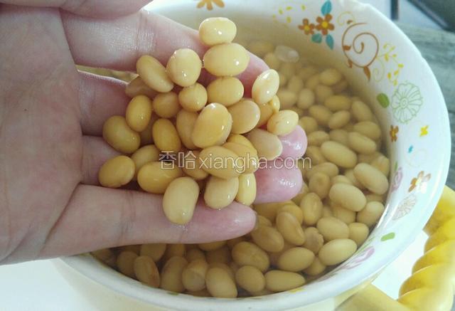 把黄豆洗干净 浸泡至少八个小时