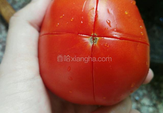把西红柿，如图用刀划开十字