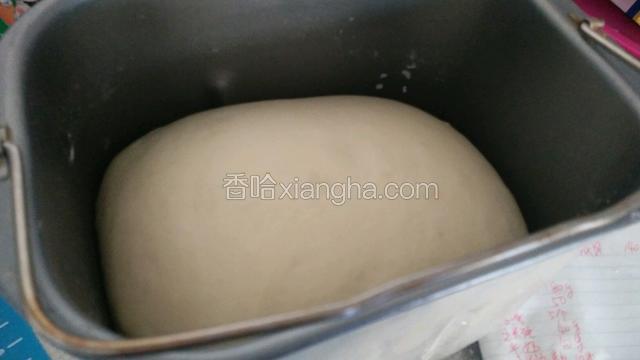 面团发到二倍大