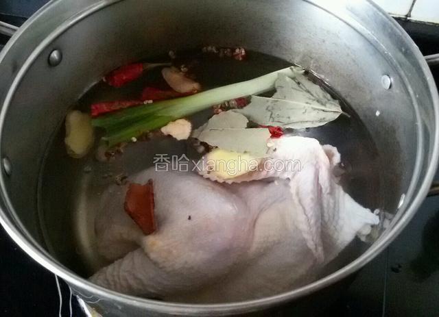 三黄鸡凉水入锅，放葱姜，干辣椒，花椒，八角，桂皮，香叶。