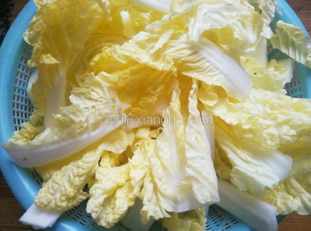 白菜洗净切条