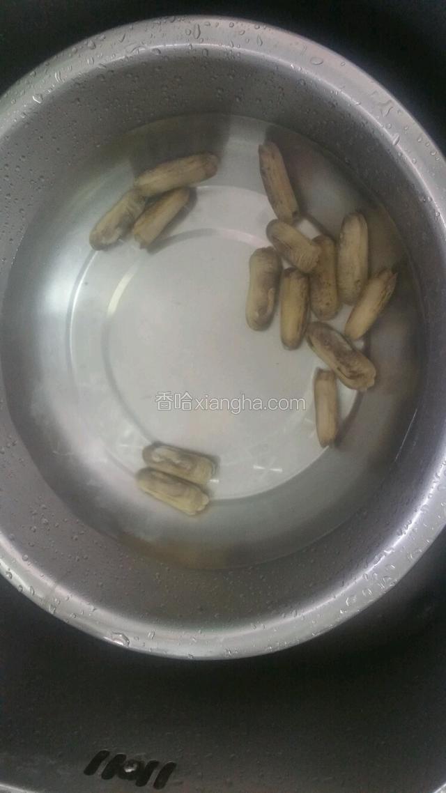 蛏子洗净