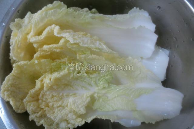 白菜清洗干净。