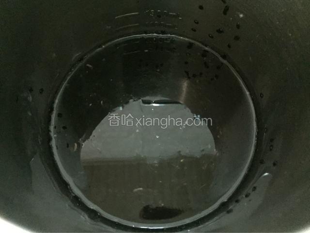 入九阳料豆浆机加入上下水位线之间的水
