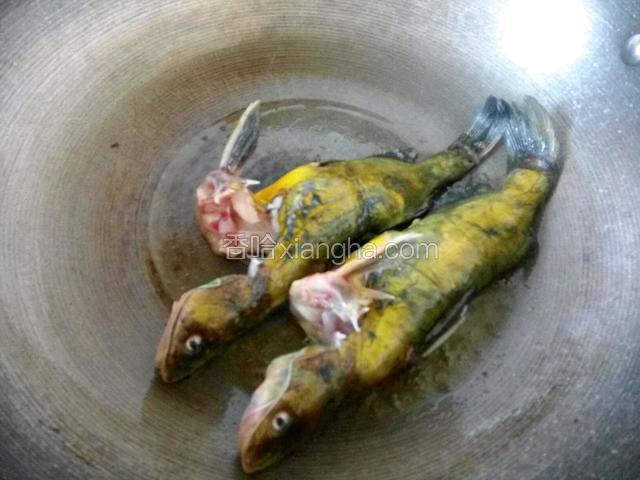 热锅冷油，加一点盐，放入鱼小火煎