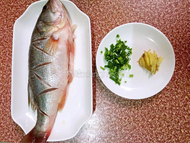 海鲈鱼去鳞去内脏去腹黑流水冲净后在鱼前后各切几刀用盐腌制半小时，姜切丝，葱切葱花备用