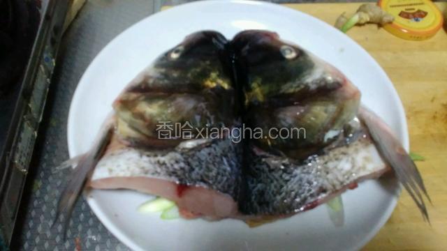 将鱼头码上