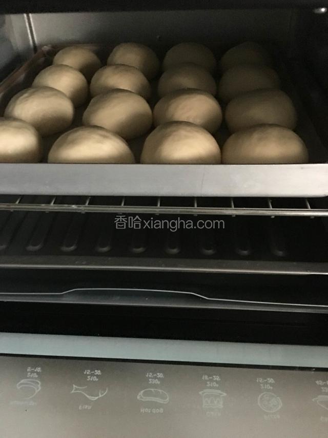 放入烤箱发酵至两倍大，烤箱低层放一盆热水，中间要换两次水，大概一小时就可以了