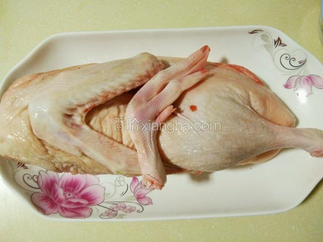 主料：鸭子