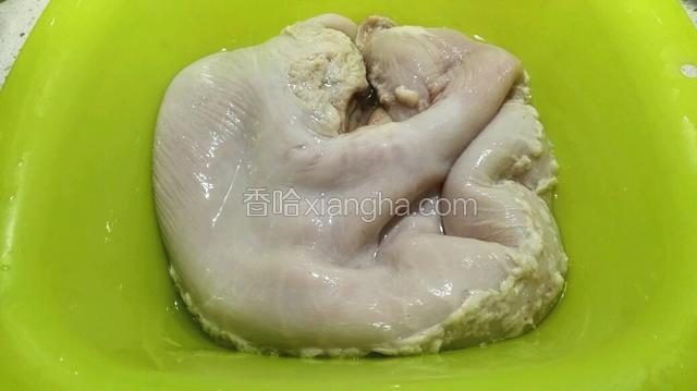 猪肚用盐、醋、面粉抓洗两次，用清水多洗几遍，把表面粘液清洗干净
