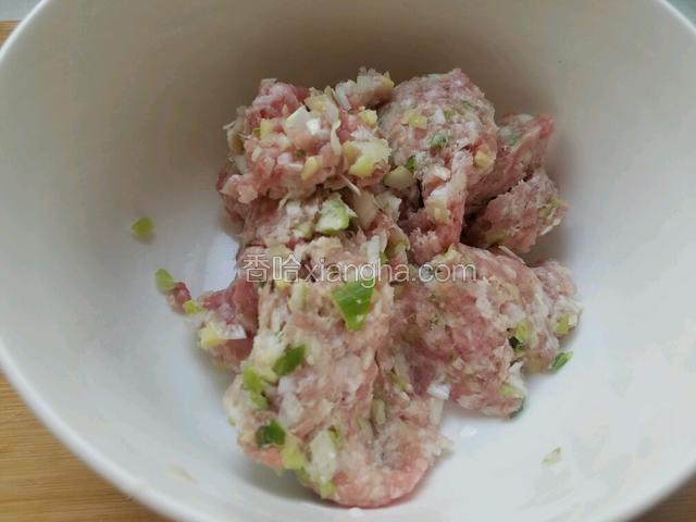 剁好的肉末和葱姜用大点儿的容器装好。