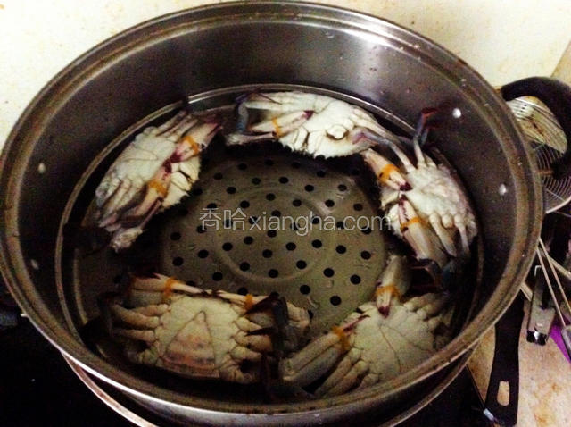 锅内添入适量水，梭子蟹还是翻着摆好，在每只螃蟹的表面都撒上盐，然后盖上盖，二十分钟蒸好。