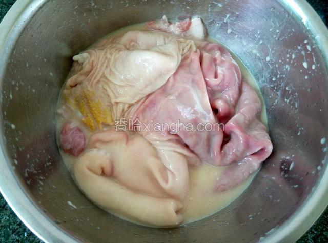 猪肚用盐、生粉和油抓一抓，去除滑腻的污物，反复抓洗2-3次。