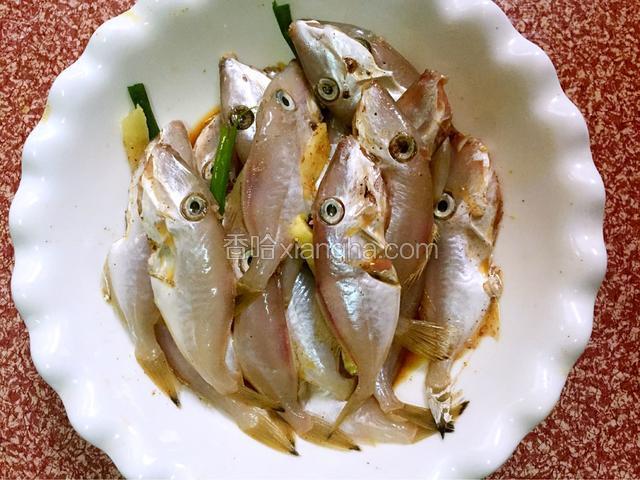 马面鱼加入葱、姜、生抽、料酒、鸡精、盐、胡椒粉、五香粉、椒盐粉抓匀腌制一小时