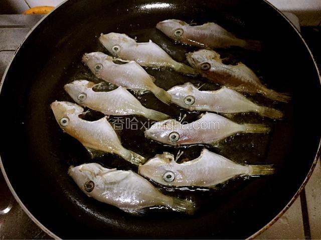 平底锅倒入适量的油烧热后放入马面鱼，中小火煎至金黄色