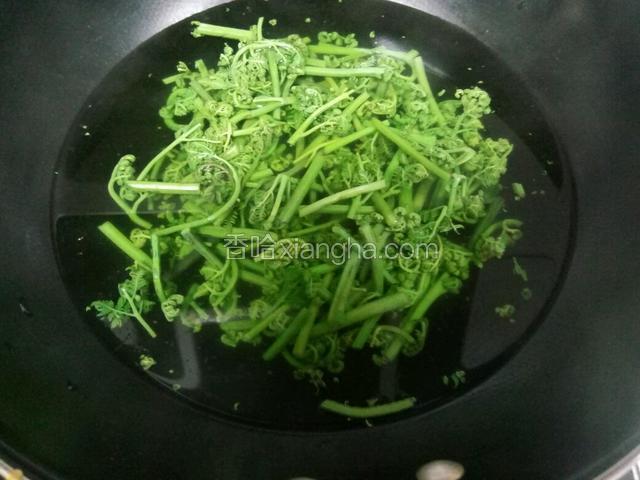 锅内添水蕨菜下入打水焯。