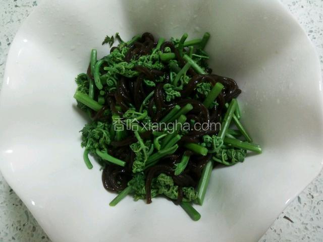 蕨根粉和蕨菜一起放入碗内。