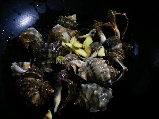 将海螺洗干净放入锅中，加入盐，料酒，姜片