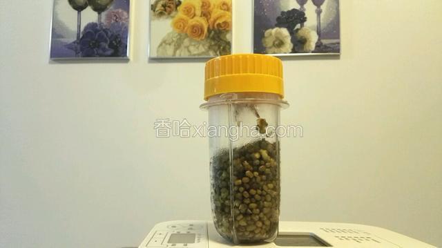 把绿豆放料理机里，加入冷水刚好淹没豆子，打成泥。