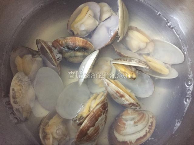 花蛤买回来用淡盐水浸泡，让其吐沙，然后洗净，煮到开口备用