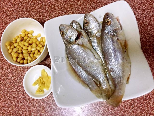 白姑鱼去内脏去腹黑去鱼鳞后洗净用盐腌制半小时，黄豆洗净备用，姜切丝备用