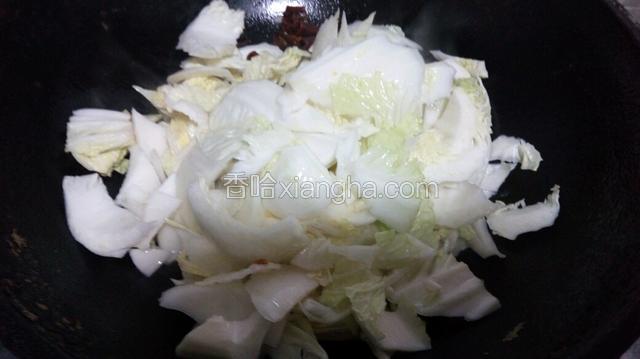 加入白菜翻炒