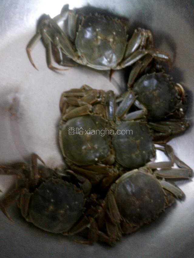 螃蟹6个用刷子刷干净，在刷螃蟹的时候要特别小心